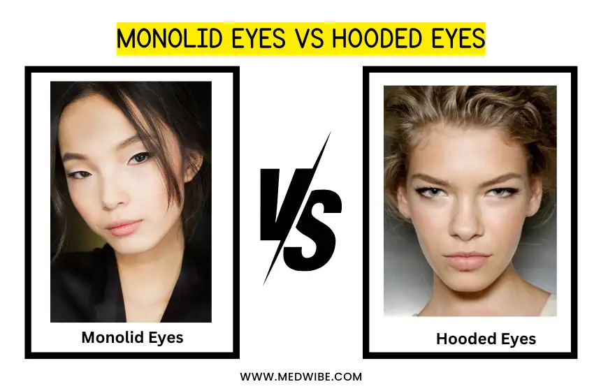 Monolid Eyes vs Hooded Eyes